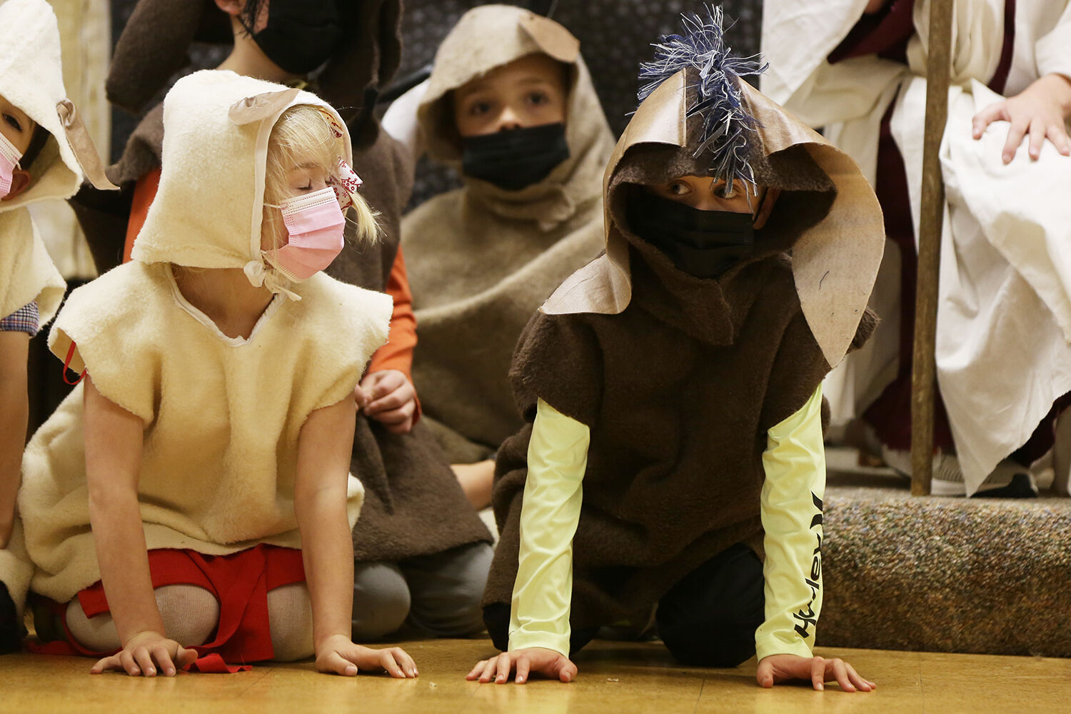 A pig and a horse sit up in front of the manger and barn
